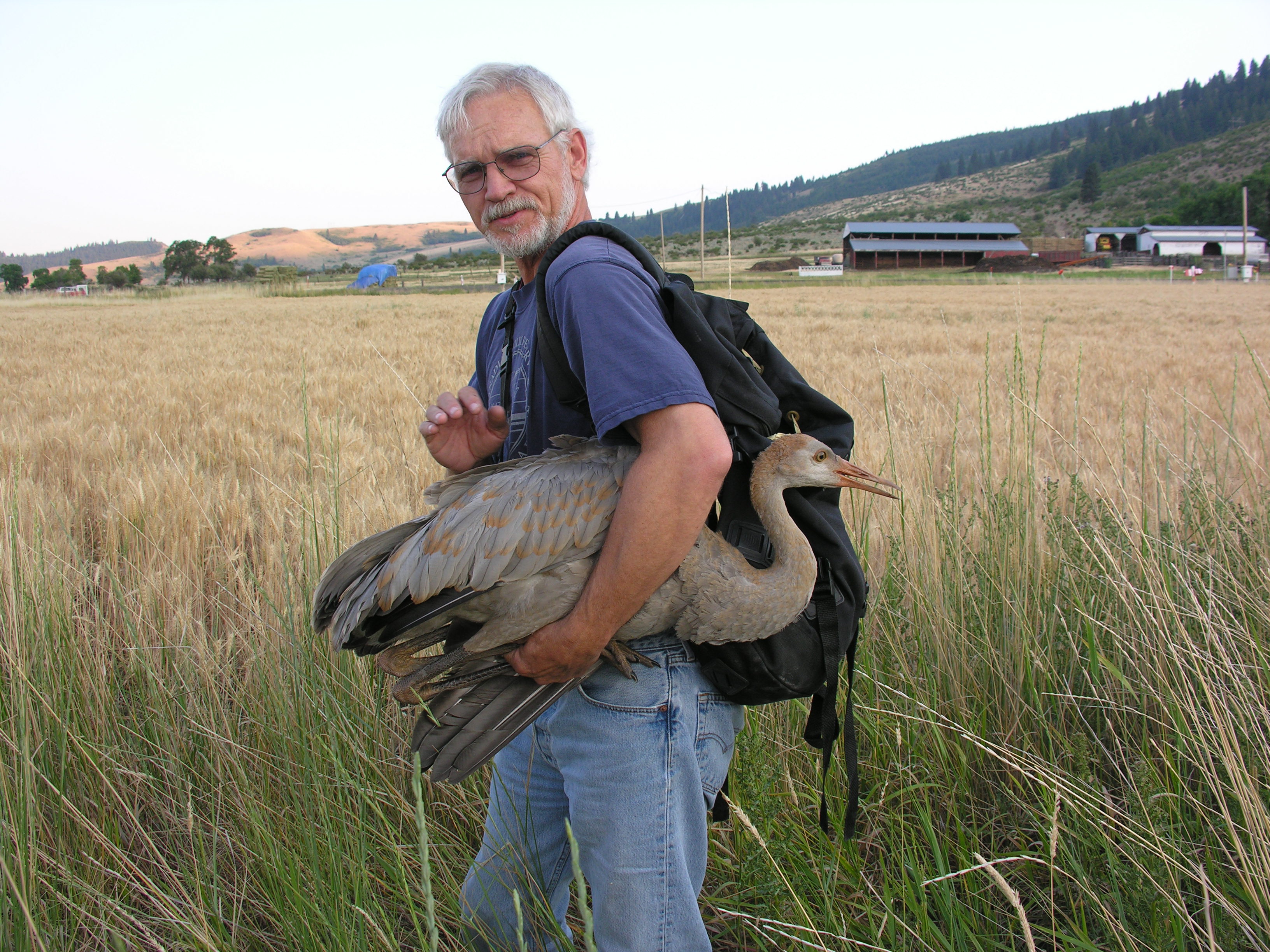 Gary Ivey with Crane chick 2019 speaker