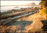 Petroglyph Beach State Historic Park
