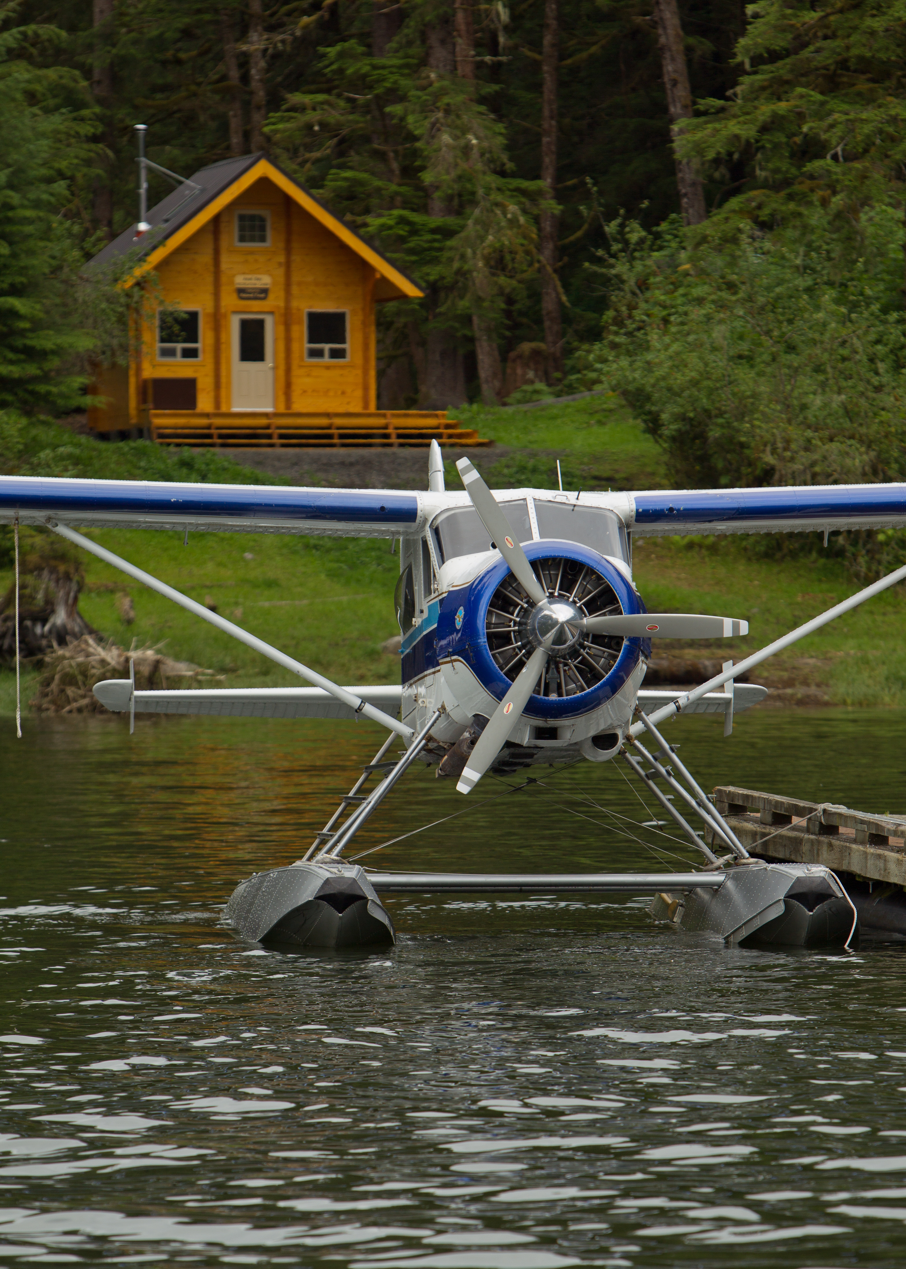 USFS Anan Bay Cabin with Float Plane