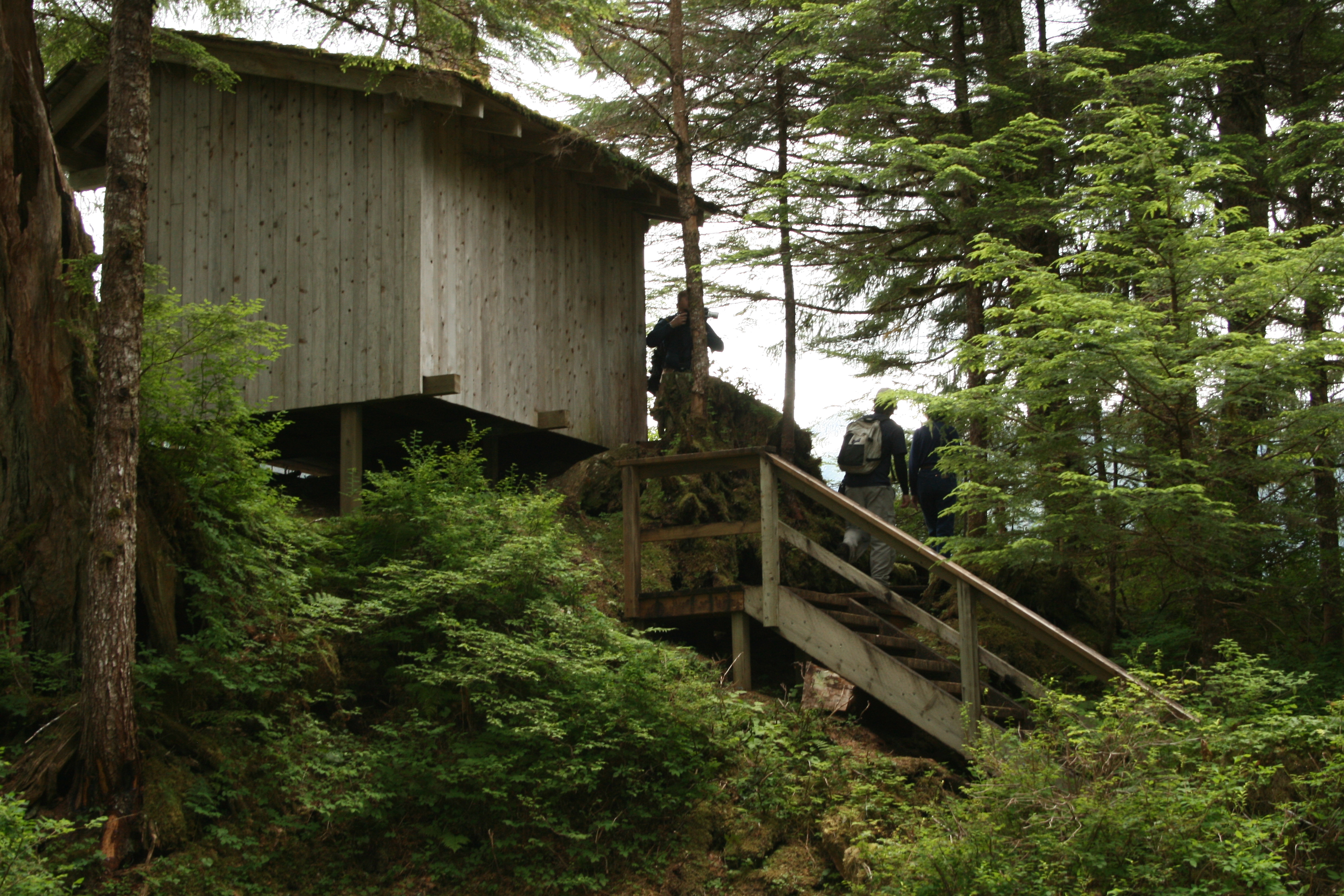 Kunk Lake Shelter