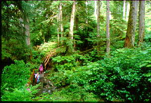 Rainbow Falls Trail