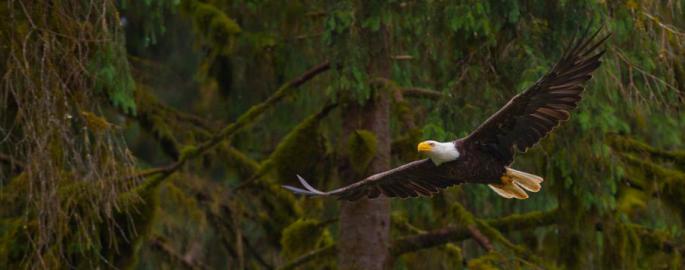 City of Wrangell Alaska