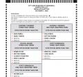 2025 Local Election - Sample Ballot