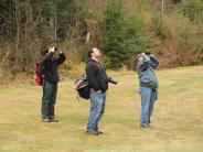 three people using binoculars looking into the sky at birds