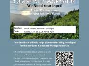 Forest Service Tongass National Forest Community Workshop 