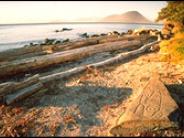 Petroglyph Beach State Historic Park