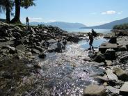 Shoemaker Bay Recreational Area, Institute Crick