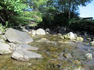 Shoemaker Bay Recreational Area, Institute Crick