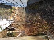 northern waterside of home looking toward roadway