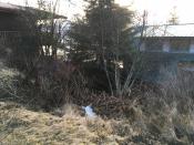 southern view of home from culvert location