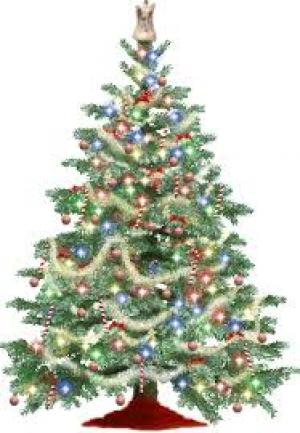 Merrry Christmas