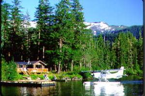 USFS cabin with plane