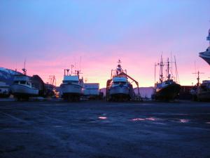 Marine Service Center yard area at sunset