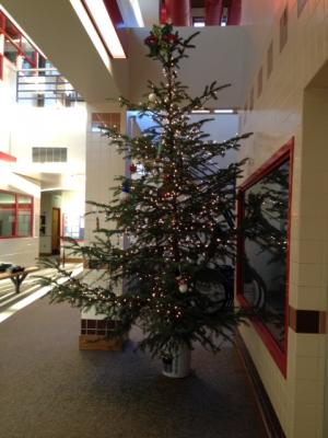 Parks & Rec's Spruce Christmas Tree
