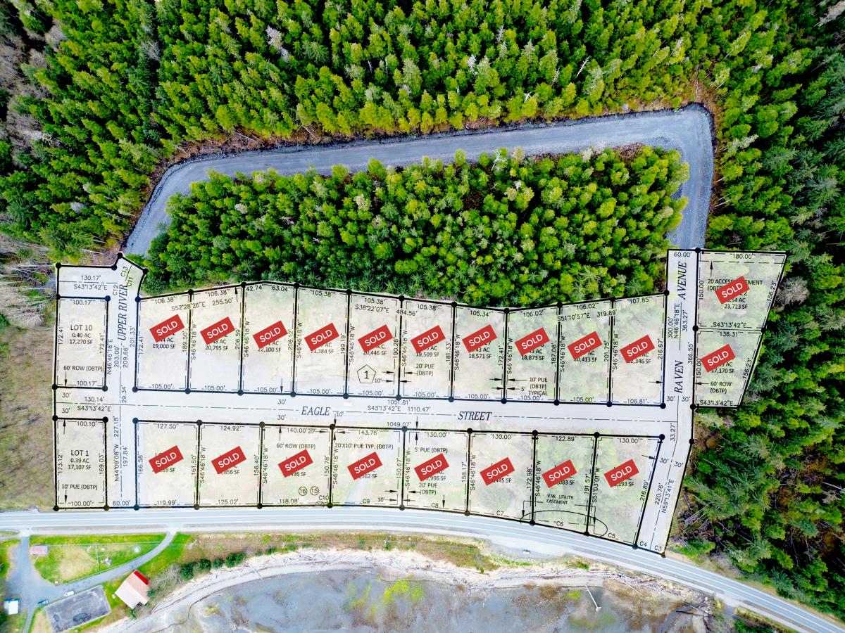 Alder Top Village Aerial